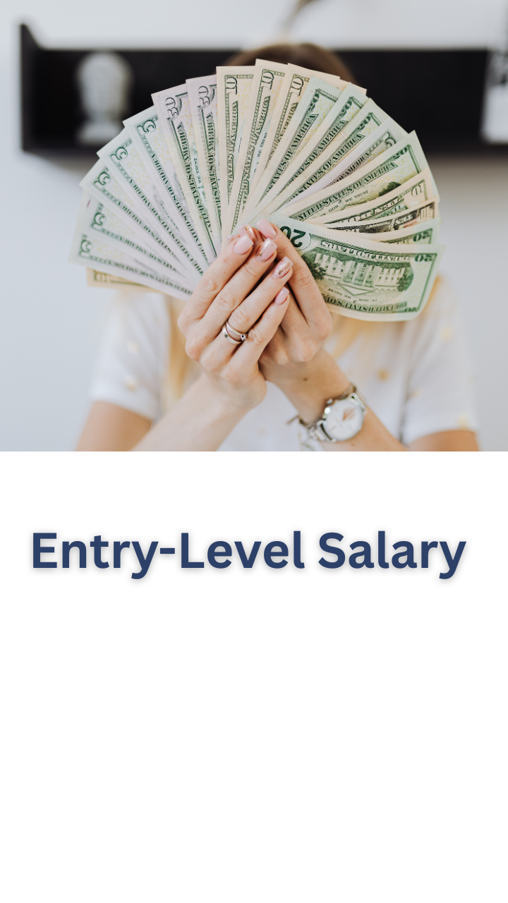 Full Stack Developer Salary In India Testleaf