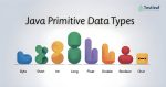 Java Primitive Data Types Explained for Beginners | Testleaf