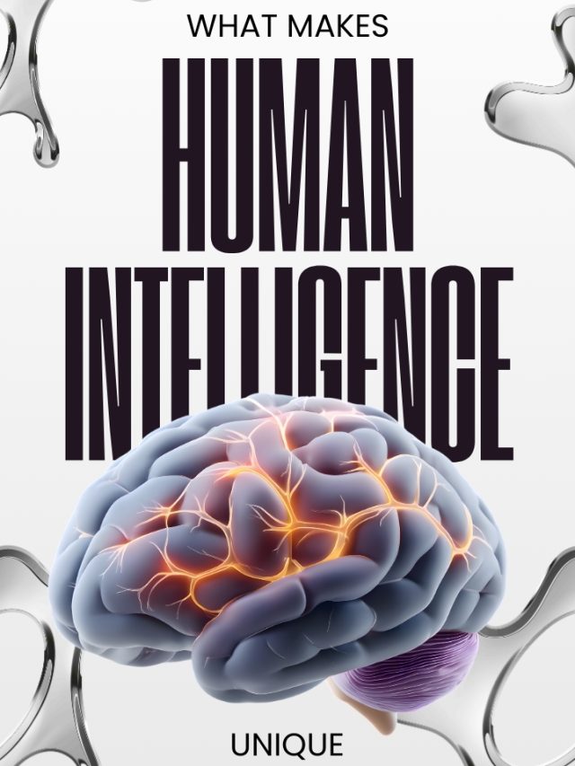 What Makes Human Intelligence Unique